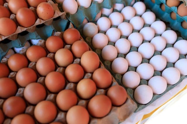 Free Range Eggs (Dozen)